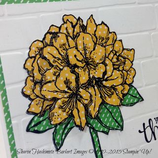 Best Thoughts 3 Best Thoughts 3