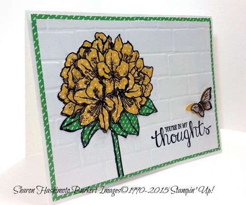 Best Thoughts 4 Best Thoughts 4