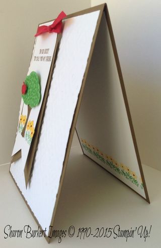 Sprinkles of life banner side