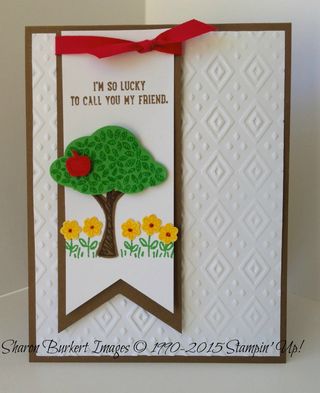 Sprinkles of Life banner