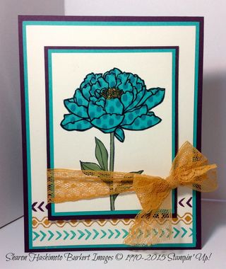 You've Got This  Bohemian Borders