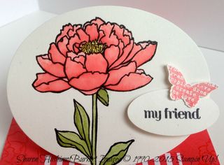 You've Got This Watermelon Wonder 3 You've Got This Watermelon Wonder 3