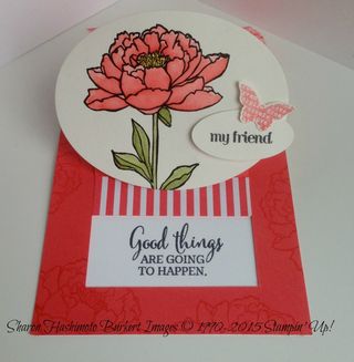 You'veGot This Watermelon Wonder 4 You'veGot This Watermelon Wonder 4