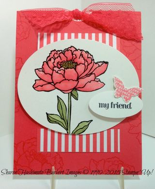 You've Got This WatermelonWonder 1 You've Got This WatermelonWonder 1