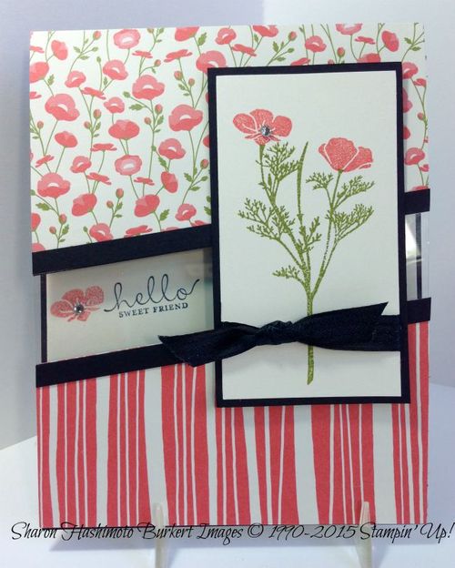 Wild About Flowers with window