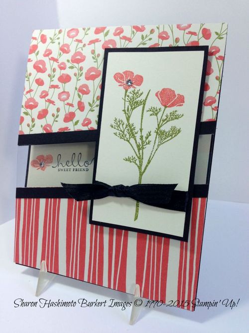 Wild About Flowers window side