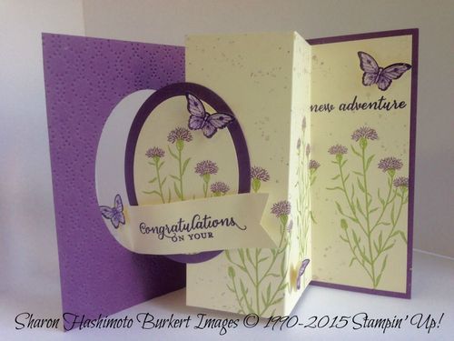 Wild About Flowers open