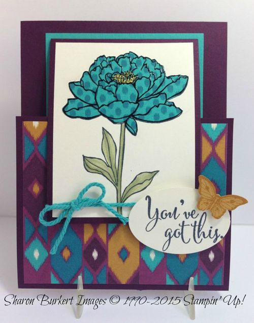 You've Got This Bohemian DSP