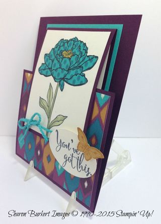 You've Got This Bohemian DSP side