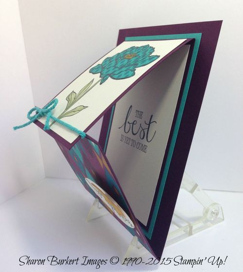 You've Got This Bohemian DSP 3