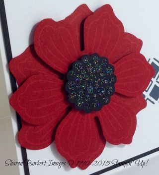 Bloom for You simple sunday close