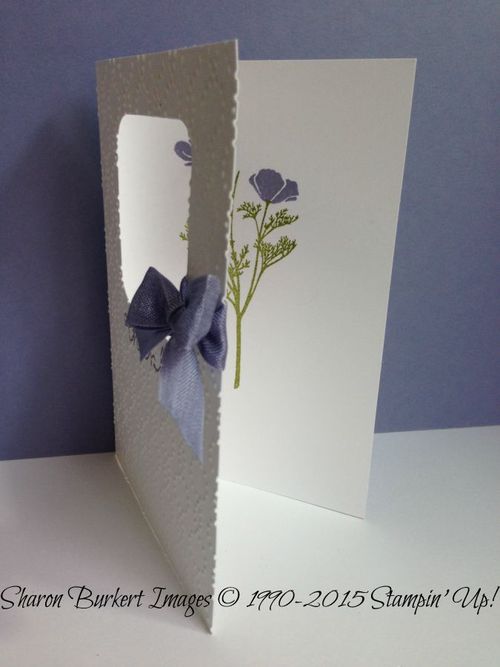 Wild About Flowers wisteria wonder open Wild About Flowers wisteria wonder open