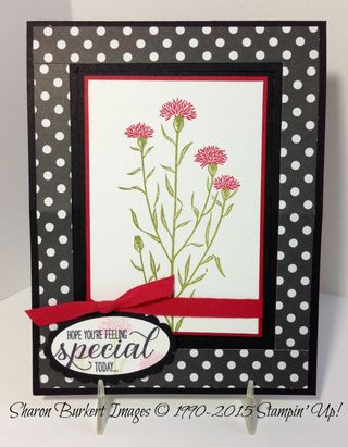 Wild About Flowers easel card 1