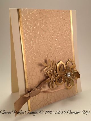 SDBH 12-15 Botanical Builders side