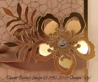 SDBH 12-2015 Botanical Builders close