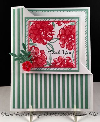 What I Love in Mint Macaron