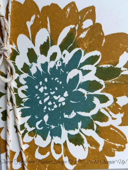 Definitely Dahlia close #CCMC 400