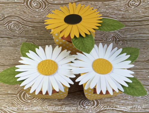 Flashback Friday flowerpots