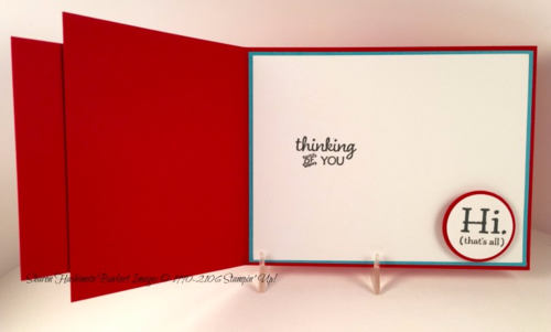 Pedal Pusher Party Pants inside