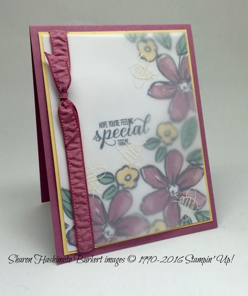 Garden in Bloom Sweet SugarPlum side may 2016