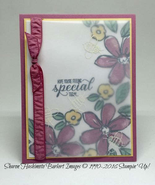 Garden in Bloom Sweet SugarPlum May 2016