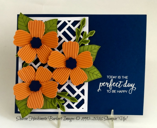 May MPP #6 61016 May MPP #6 61016