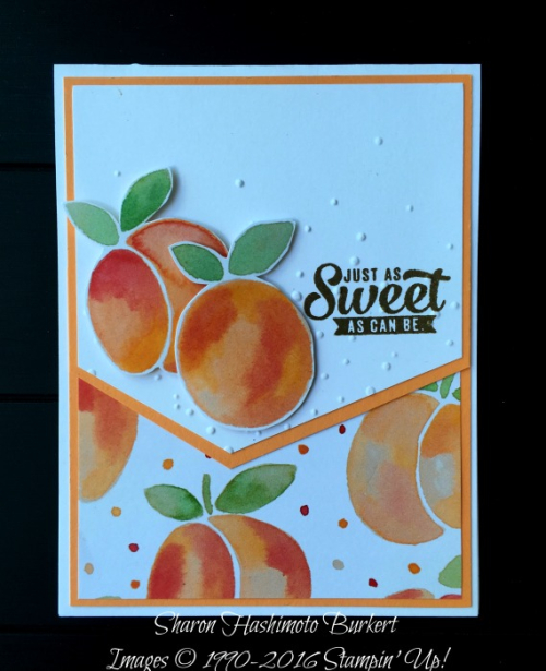 Fruit stands ccmc 427 Fruit stands ccmc 427