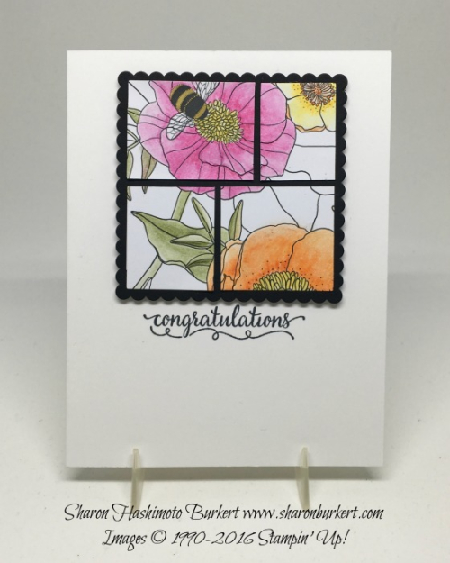 Inside the Lines DSP