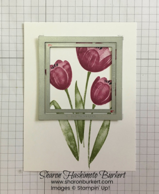 FFFTranquilTulips2sharonburkert