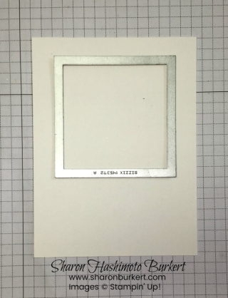 FFFTRanquilTulips1SharonBurkert FFFTRanquilTulips1SharonBurkert