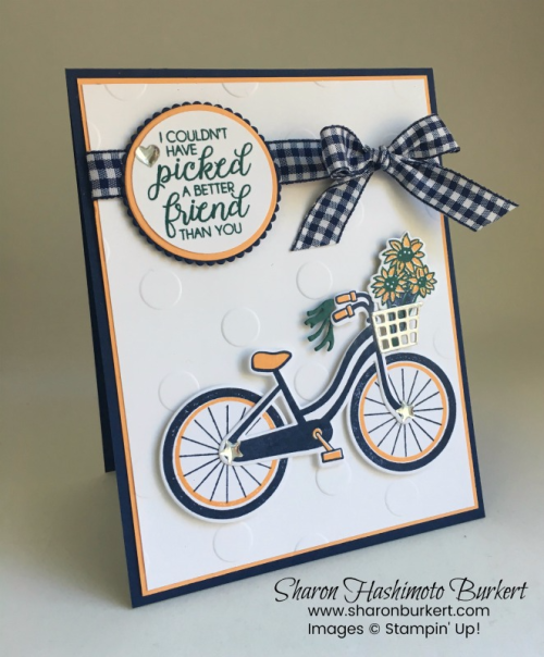 BikeRideCCMCSidesharonburkertastheinkdries