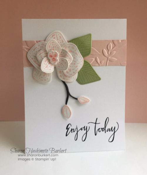 CLimbingOrchidSharonBurkertTSOT1