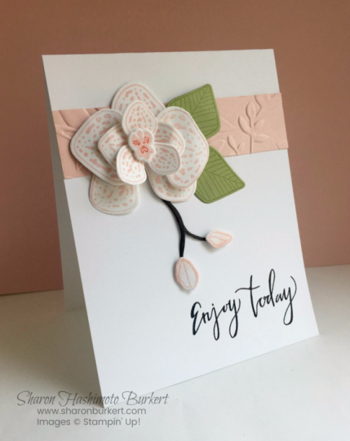 AstheInkDriesClimbingOrchidside