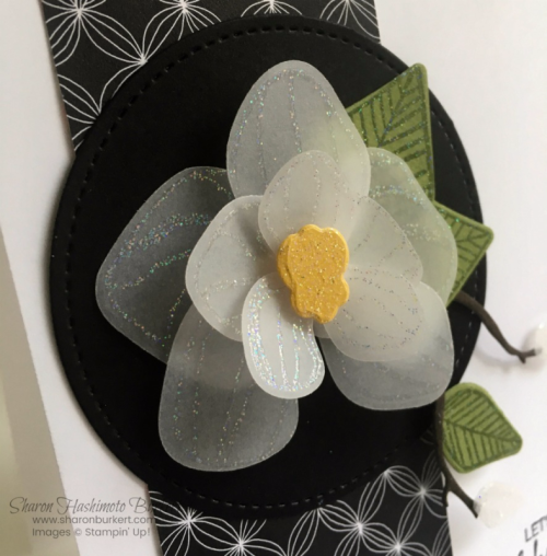 ClimbingOrchidSharonBurkert3