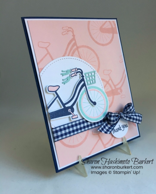 AstheInkDriesBikeRideCCMC483side AstheInkDriesBikeRideCCMC483side