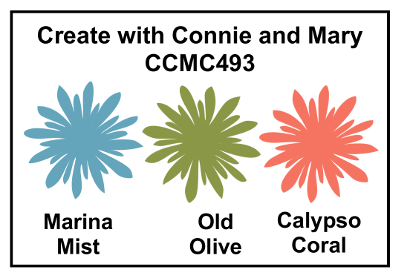 CCMC493