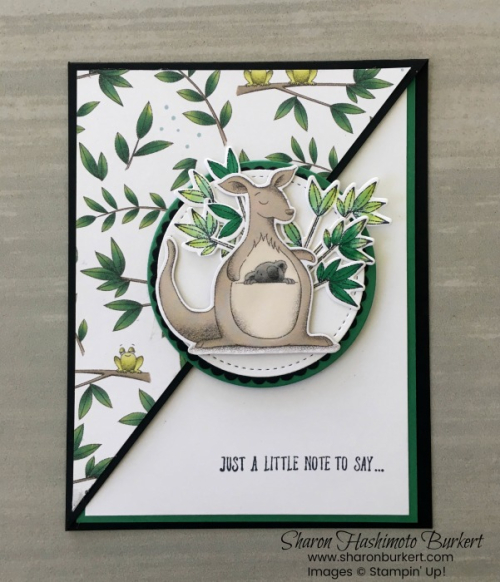 AstheInkDries-AnimalOutings-Kangaroo AstheInkDries-AnimalOutings-Kangaroo