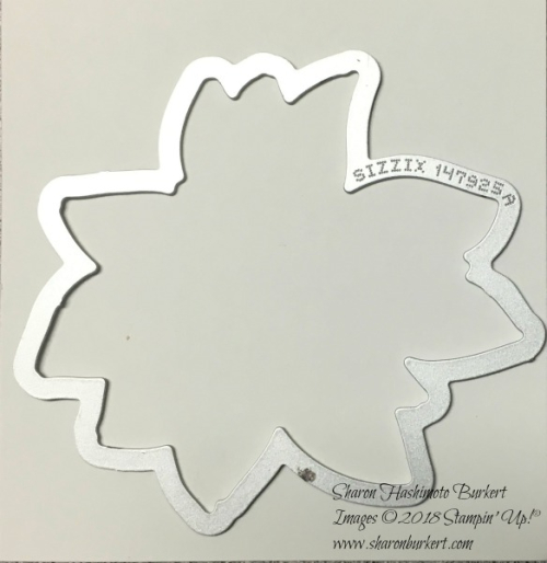 AstheInkDries-DetailedPoinsettia-3