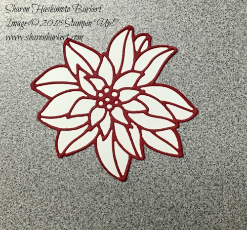 AstheInkDries-DetailedPoinsettia-4