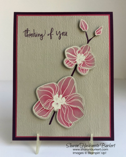 AstheInkDries-CCMC521 AstheInkDries-CCMC521