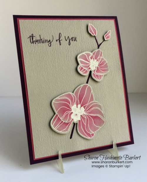 AstheInkDries-CCMC521-side AstheInkDries-CCMC521-side