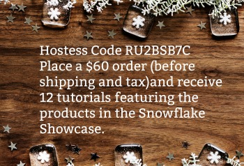 Hostess Code Nov 2018christmas-688015