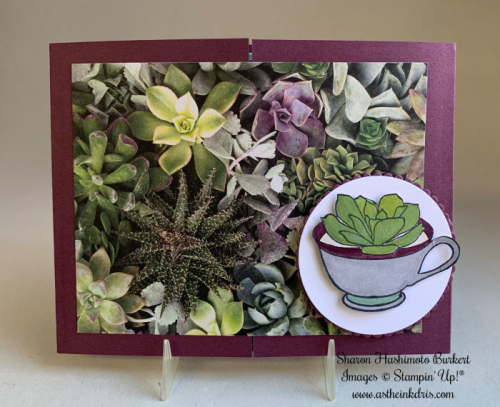 AstheInkDries-GrownwithKindness-pphop