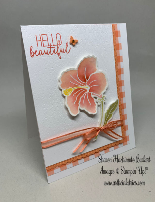 AstheInkDries-HummingAlong-HibiscusCalypsoside