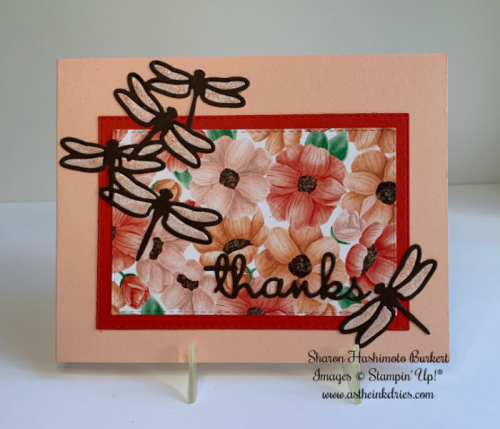 AstheInkDries-CCMC554 AstheInkDries-CCMC554