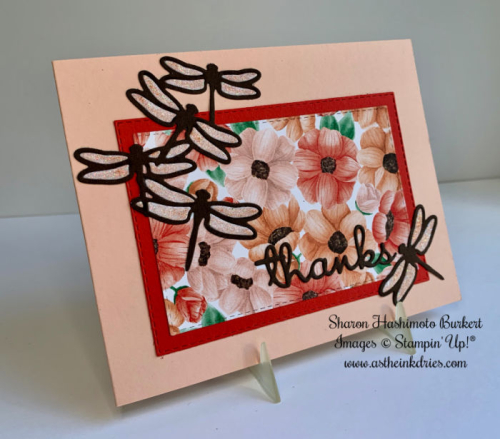 AstheInkDries-CCMC554-side AstheInkDries-CCMC554-side