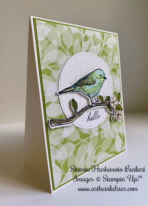 AstheInkDries-BestBirds-CCMC558side