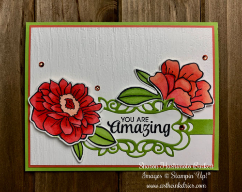 AstheInkDries-CCMC567