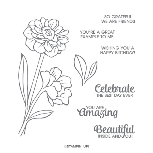 Band together stamp set