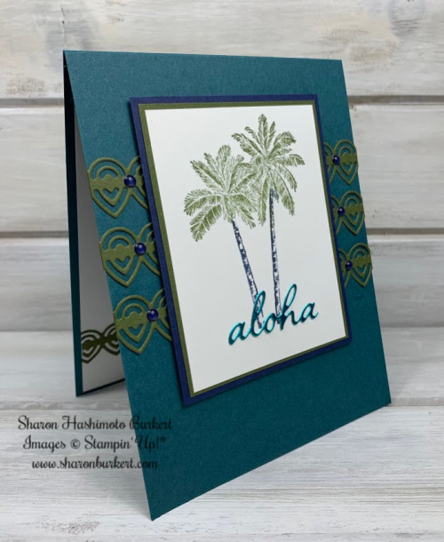 ASID-CCMC591side ASID-CCMC591side